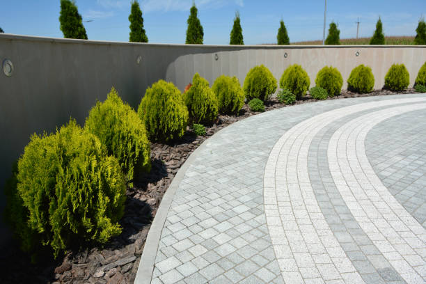 Best Driveway Paving Near Me  in Hagaman, NY